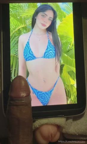 Amaranta VP