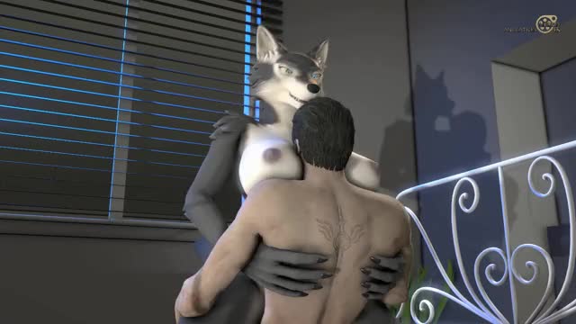 wolf anim 720 30