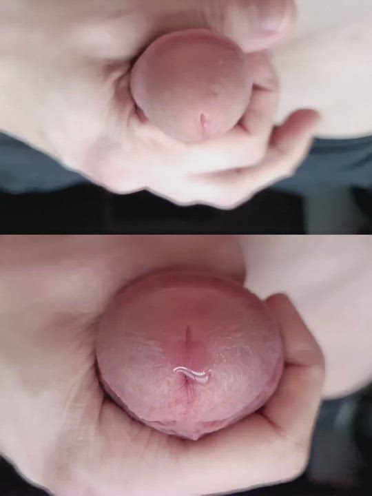 Look how stretchy and jiggly a flaccid penis is in slow motion!