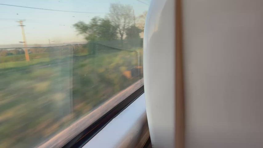 Flashing my big cock on the train