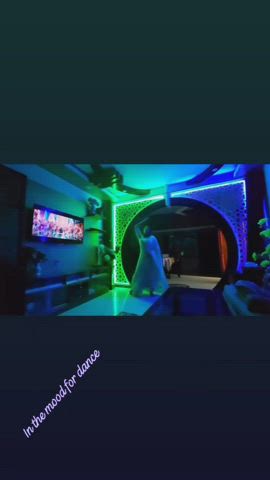 Dancing Purple Bitch Sex Toy gif