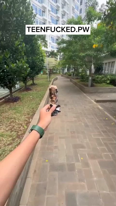 asian blowjob hijab homemade indo indonesian gif