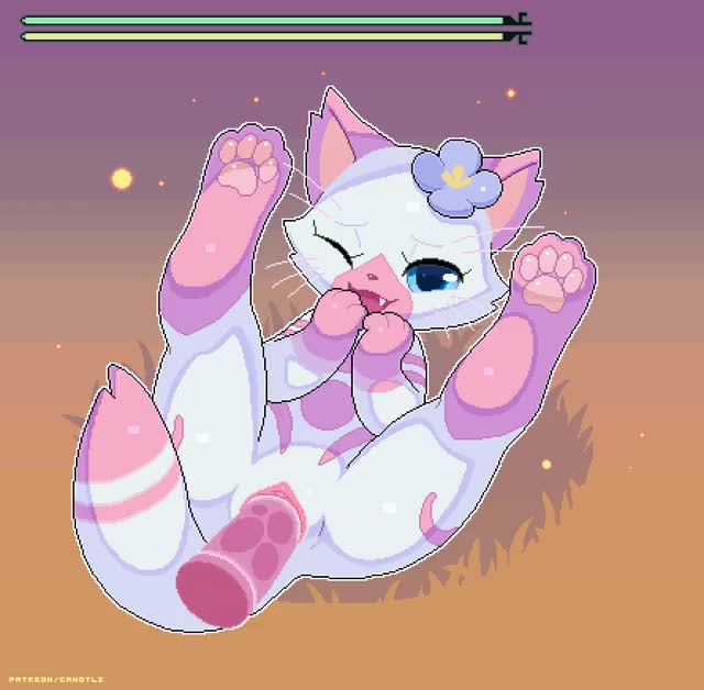 Cat hentai2