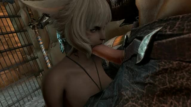 Final_Fantasy_XIV, Kami, Miqo'te, Y'shtola_Rhul, animated, sound, webm