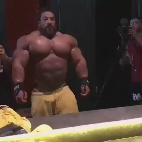 68740872 2445749058852061 7543978593665608789 n