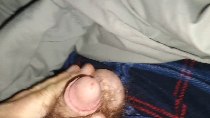 bear chubby small cock gif