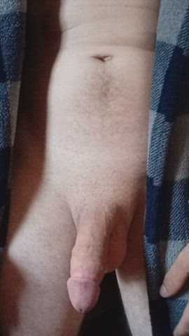Penises are really interesting however they can be pretty funny little body parts