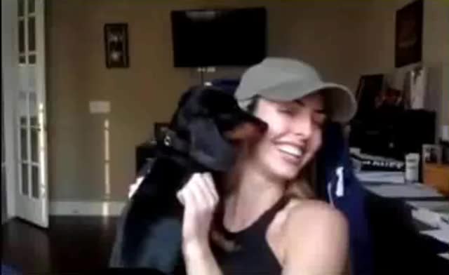 Twitch stream