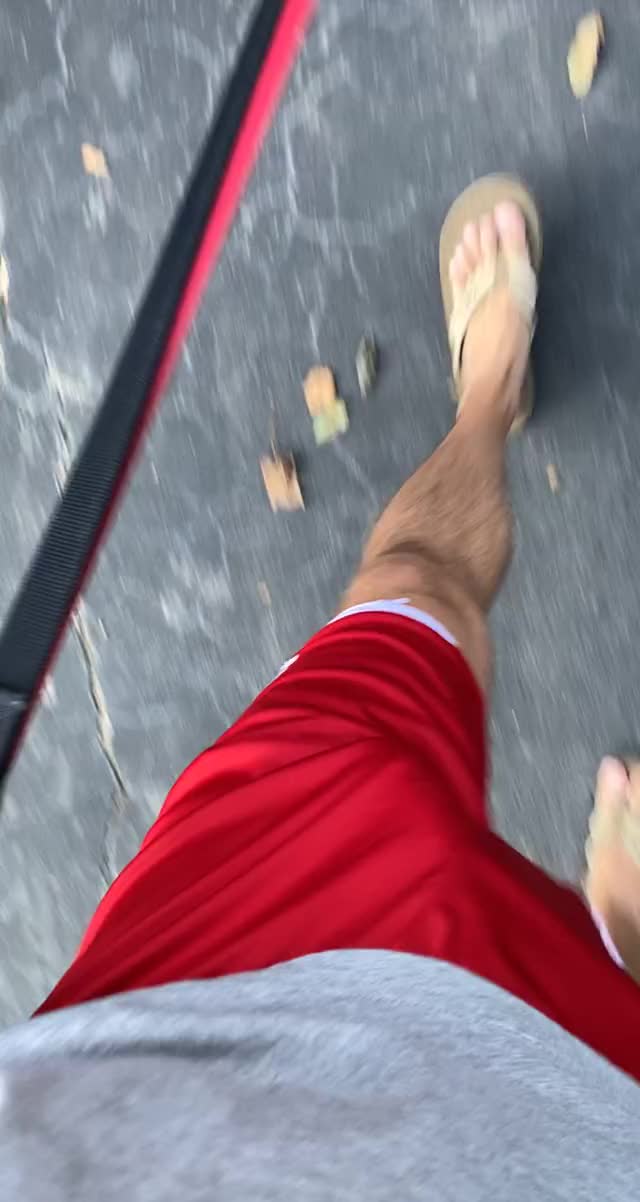 Walking the dogs