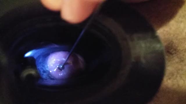 tried my new rosebud sounds on my cervix tonight! here's a teaser; more to come tomorrow