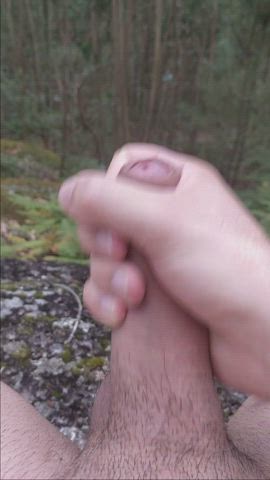 It May Not be Big But it is Pretty (Talking About the Trees OFC)