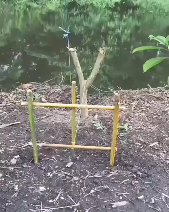 ripsave - Automatic fishing trap
