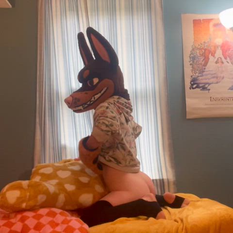 Dobie Pup Pillow Humping! 💛