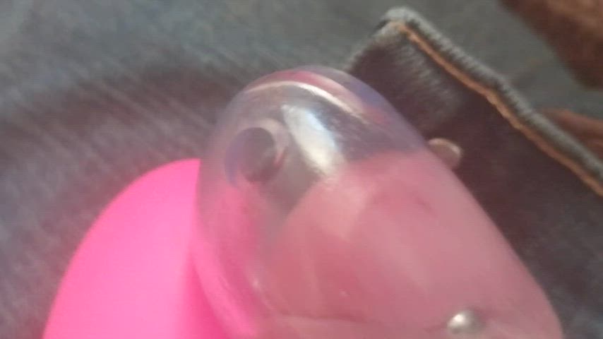 chastity cock cum gif