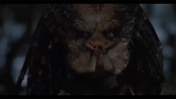 Predator Game on