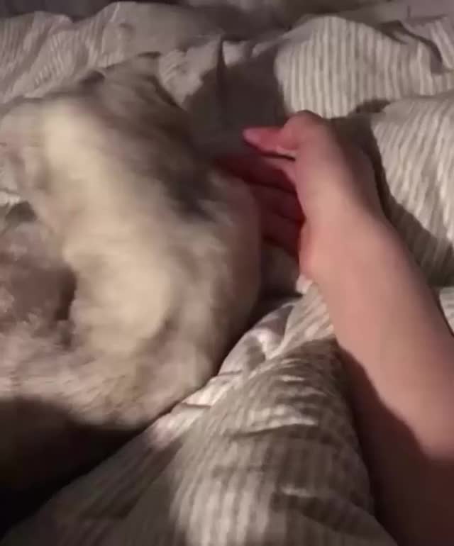mewtwovsmasterhand