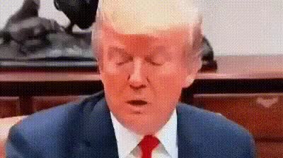 Dumb Looking Ass Trump