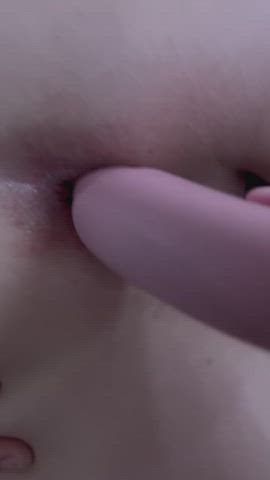 anal asshole dildo asshole-behind-thong rear-pussy gif