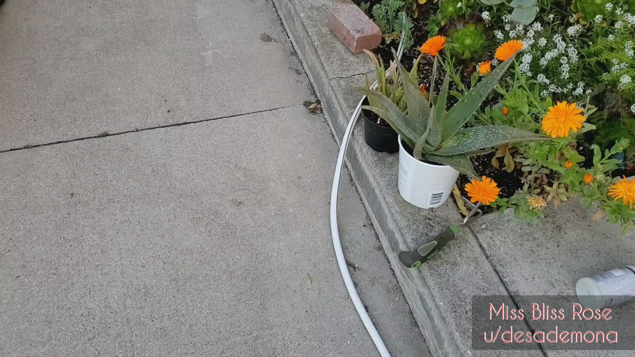 Gardening without panties is a dangerous game!