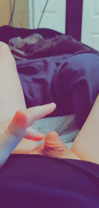 Feeling pretty smol