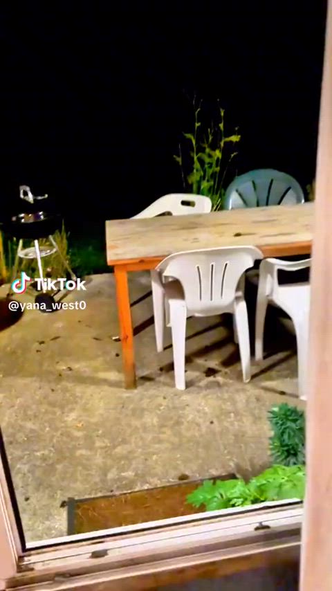 boobs costume halloween striptease tease tiktok tik-tok gif