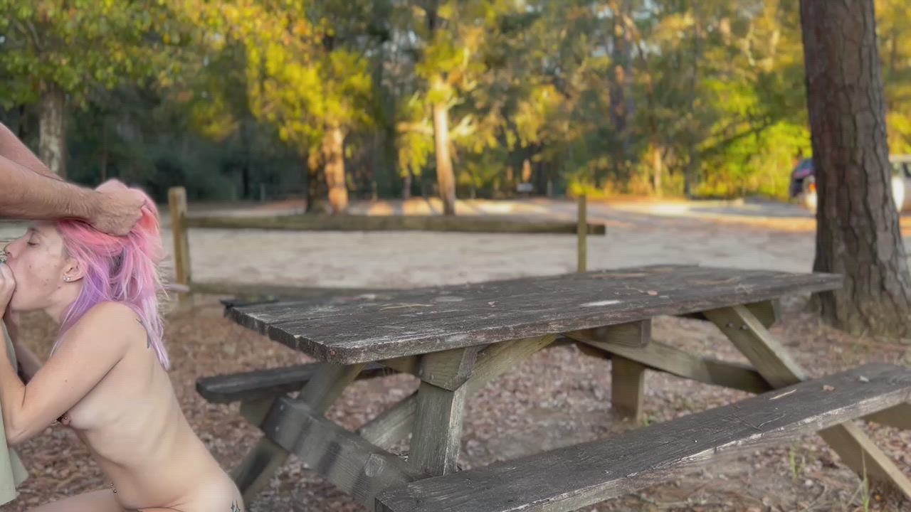 A couple walked out from a path and got quite a view for our first post here!! [gif]