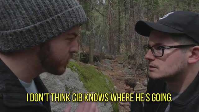 Sugar Pine 7