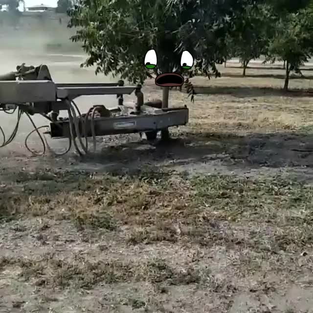 Shake shake shake