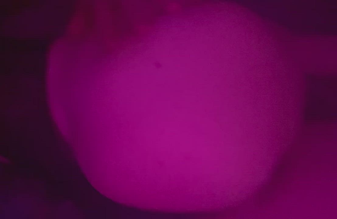Ass Cock Trans gif