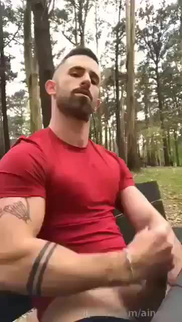 Nice Day at the Park