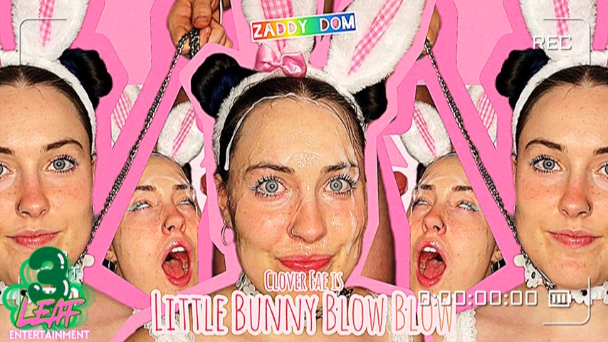 Watch Little Bunny Blow Blow now!!