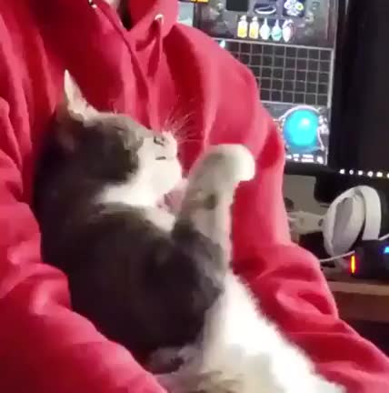 What?