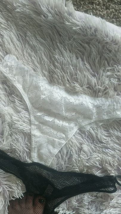 Panties Thong Wet Pussy gif