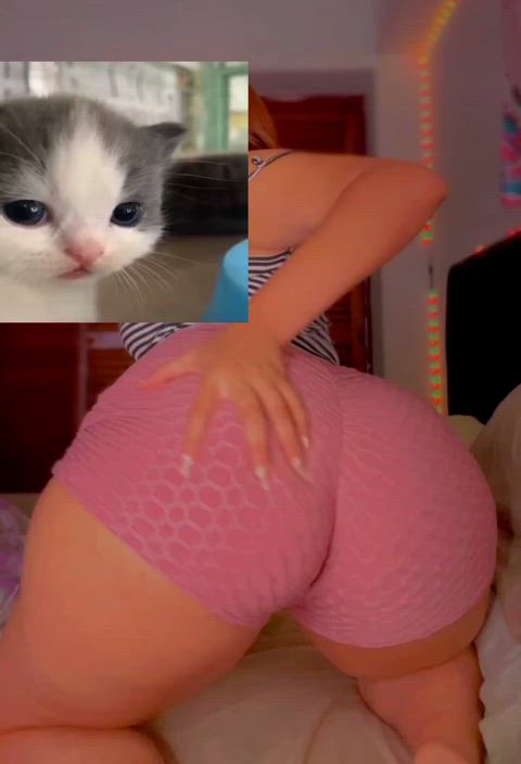 Looking for someone who wants a gfe! Here’s my rates! Gfe: $110 for a week Gfe: