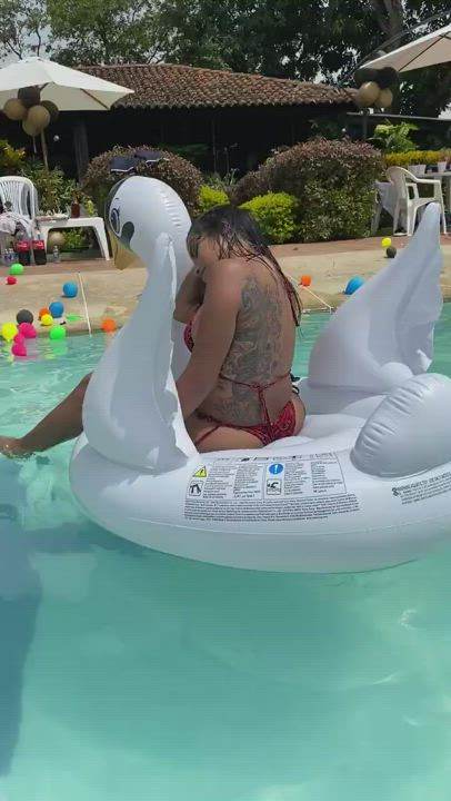 Bikini Clothed Sara Liz Swimming Pool Trans gif