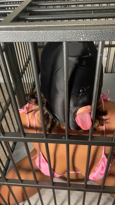 amateur bdsm caged homemade nsfw pov real-bdsm gif