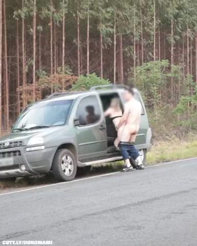 doggystyle outdoor public gif