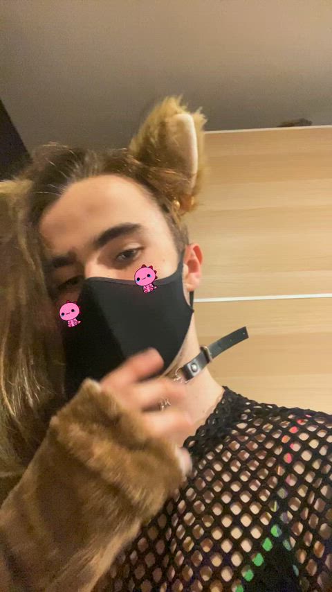 Puppy boy? Puppy girl? Nah just puppy 