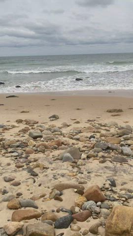 Everyone likes to come to the beach for the views, right?