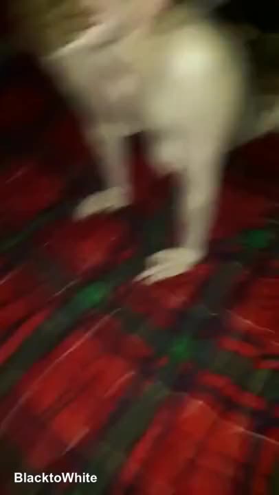 Girl Gets Pink Pussy Pounded and Stretched