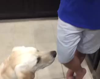 Someone doesn't want to eat their vegetables
