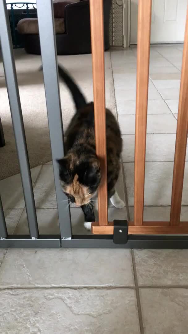 It keeps my other cat away but not this one...