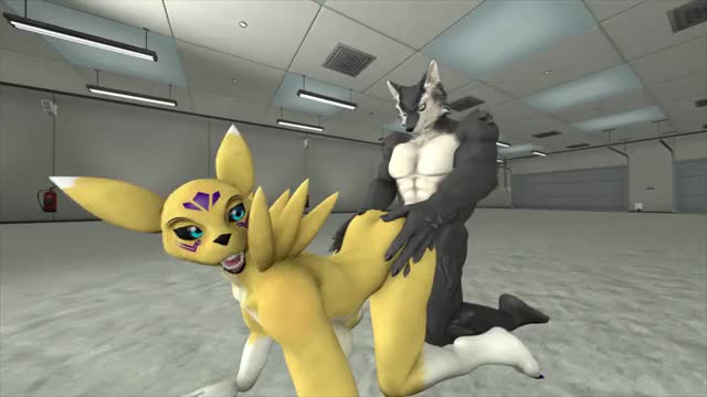 renamon doggy