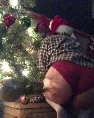 Happen to think about what you want for Xmas;)