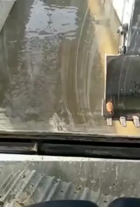 Rescuing-a-kitten-with-an-excavator
