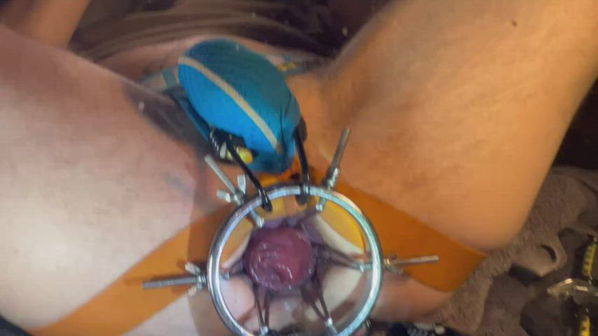 anal speculum extreme gay gif