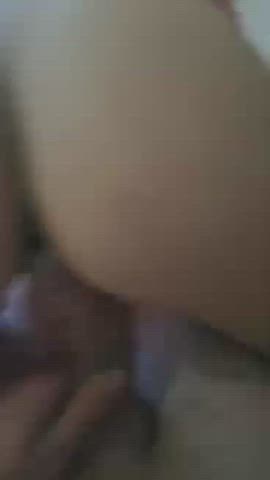 ass pornstar sex gif