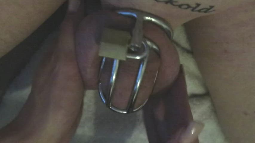 Chastity GIF by cagethisock