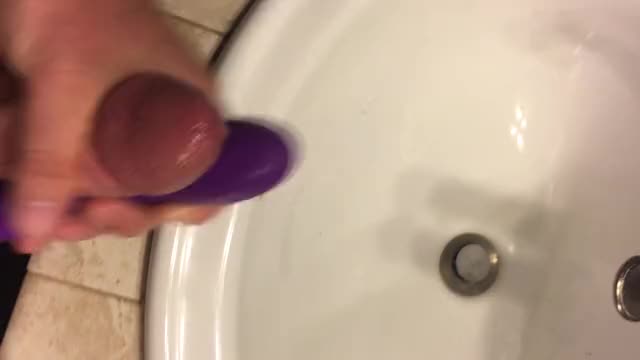 IMG 0229