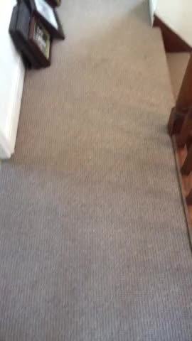 As soon as I get the house to myself it’s like the movie ‘Risky Business’ only
